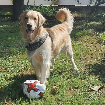 B&B Family Home Soresina Εξωτερικό φωτογραφία