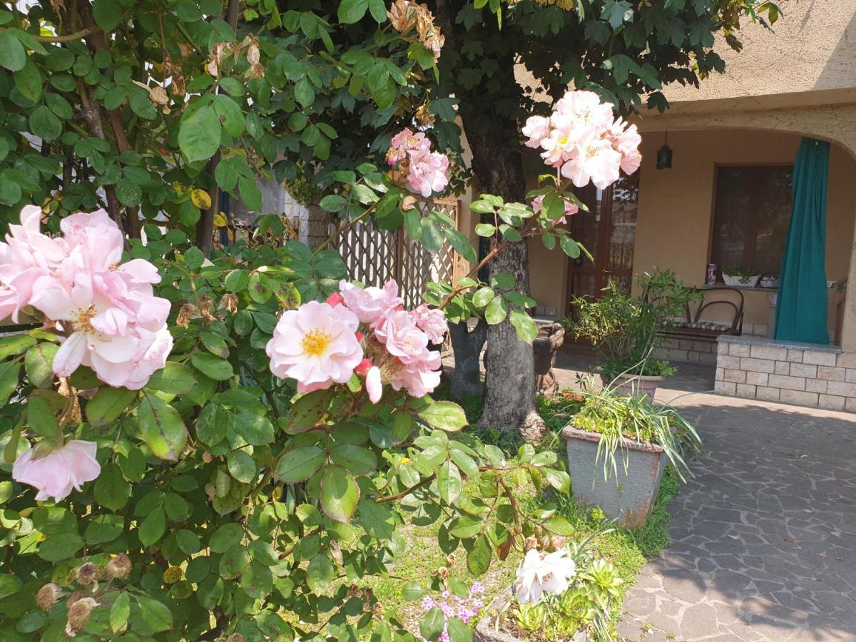 B&B Family Home Soresina Εξωτερικό φωτογραφία
